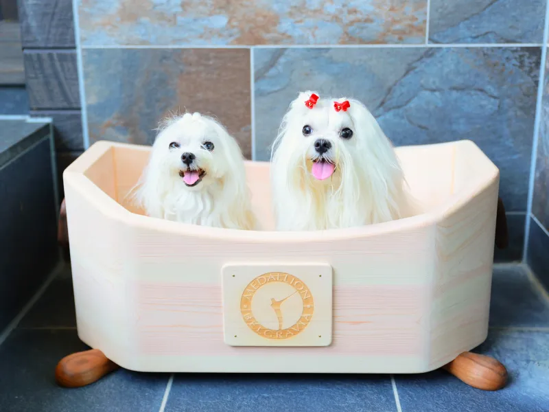 ヴィラのお風呂に入る犬